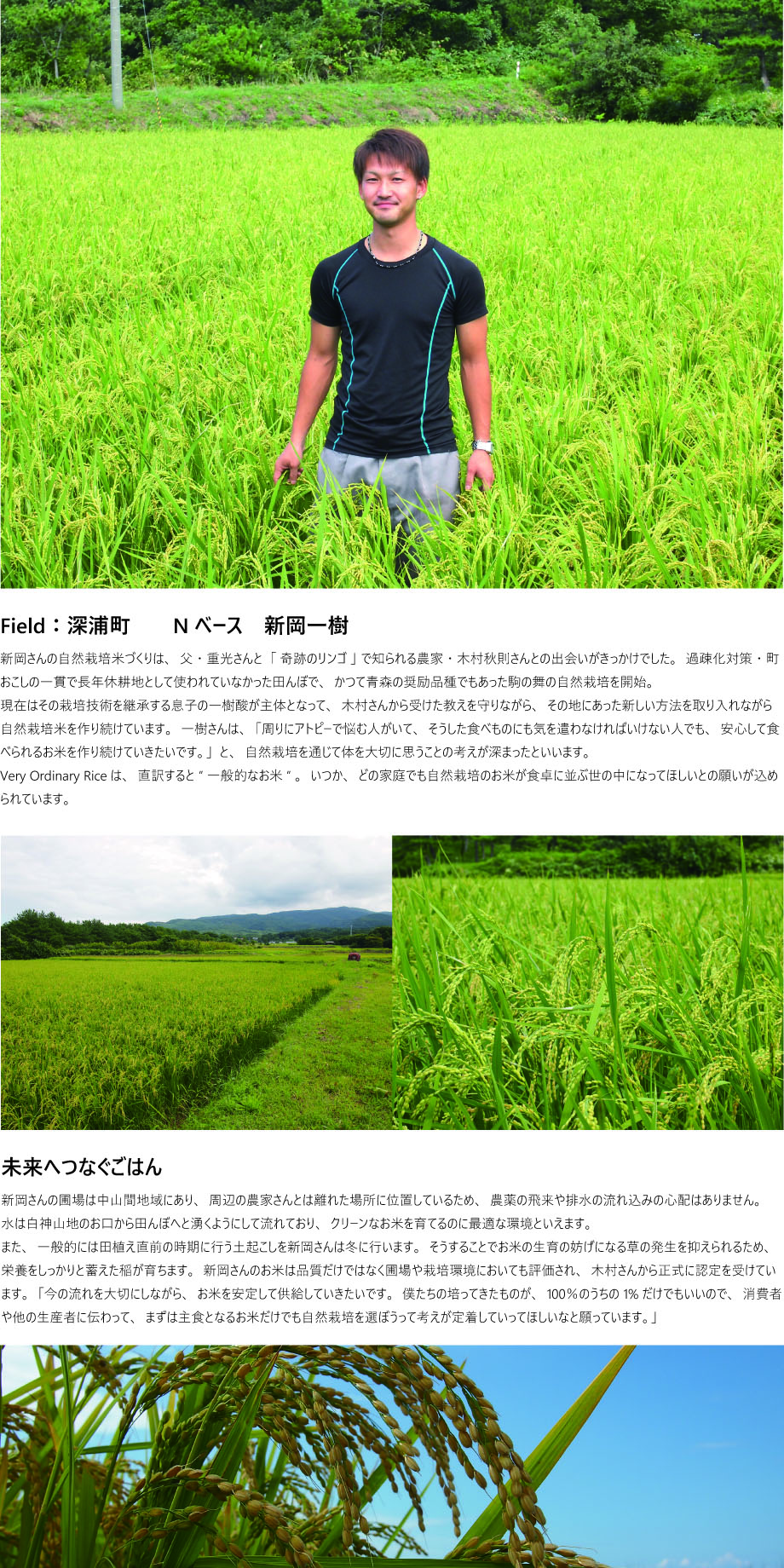 (R04産)Very Ordinary Rice玄米10kg