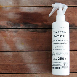 THE STAIN REMOVER